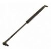 Rear Window Gas strut